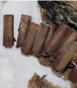 Casa de Ibateguara explodiu por envelhecimento de pólvora armazenada indevidamente, afirma perícia