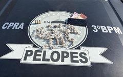 Drogas apreendidas com jovem de 18 anos, em Arapiraca