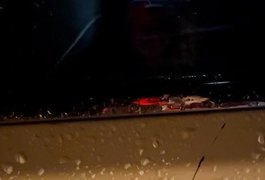 Suspeito de espancar esposa e tentar esfaquear delegados é preso em AL