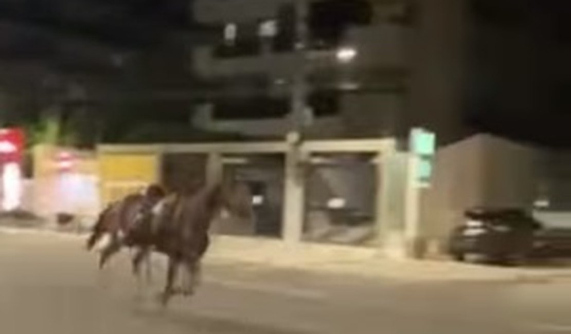Cavalos da PM saem em disparada em avenida após susto com barulho de fogos, em Maceió