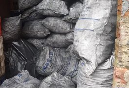 Polícia Ambiental flagra depósito e comércio de carvão ilegal em União dos Palmares, AL