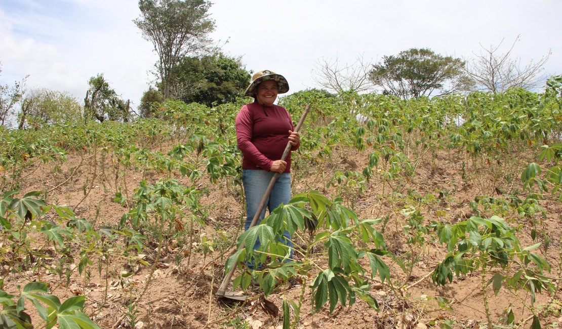 Mais de 20 mil agricultores alagoanos vão receber Garantia-Safra neste mês de março