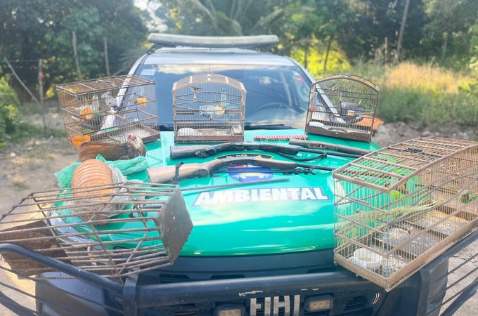 Polícia Militar apreende aves silvestres, armas e armadilhas de caça em Porto de Pedras