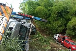 Caminhão-cegonha perde o controle e tomba na BR 101