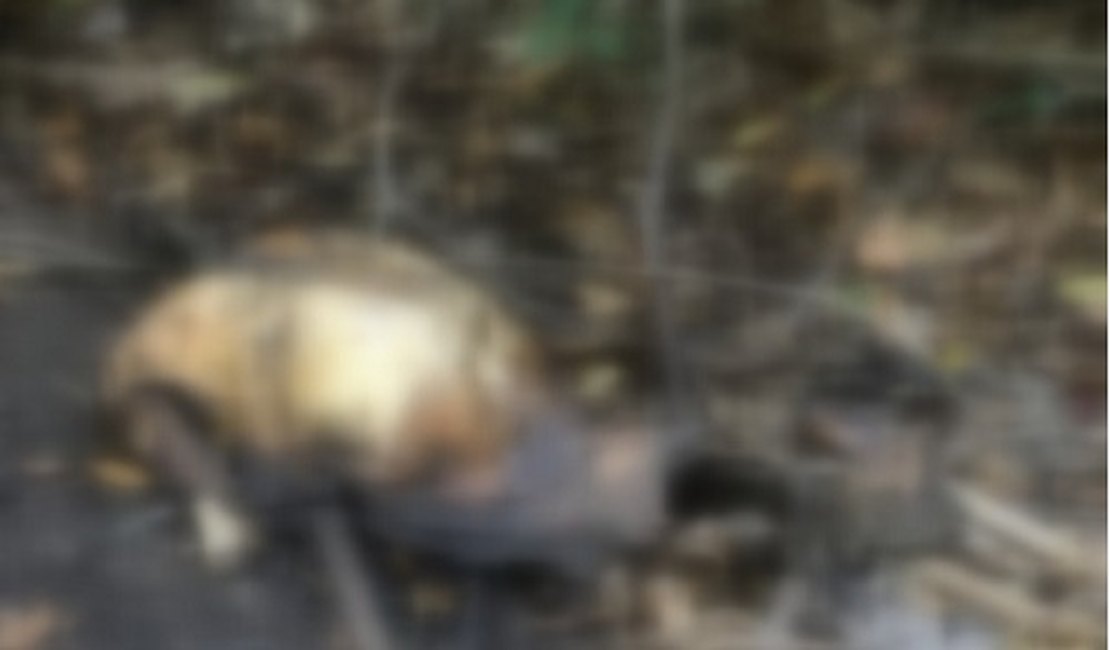 Ossada localizada em Marechal Deodoro pode ser de jogador desaparecido