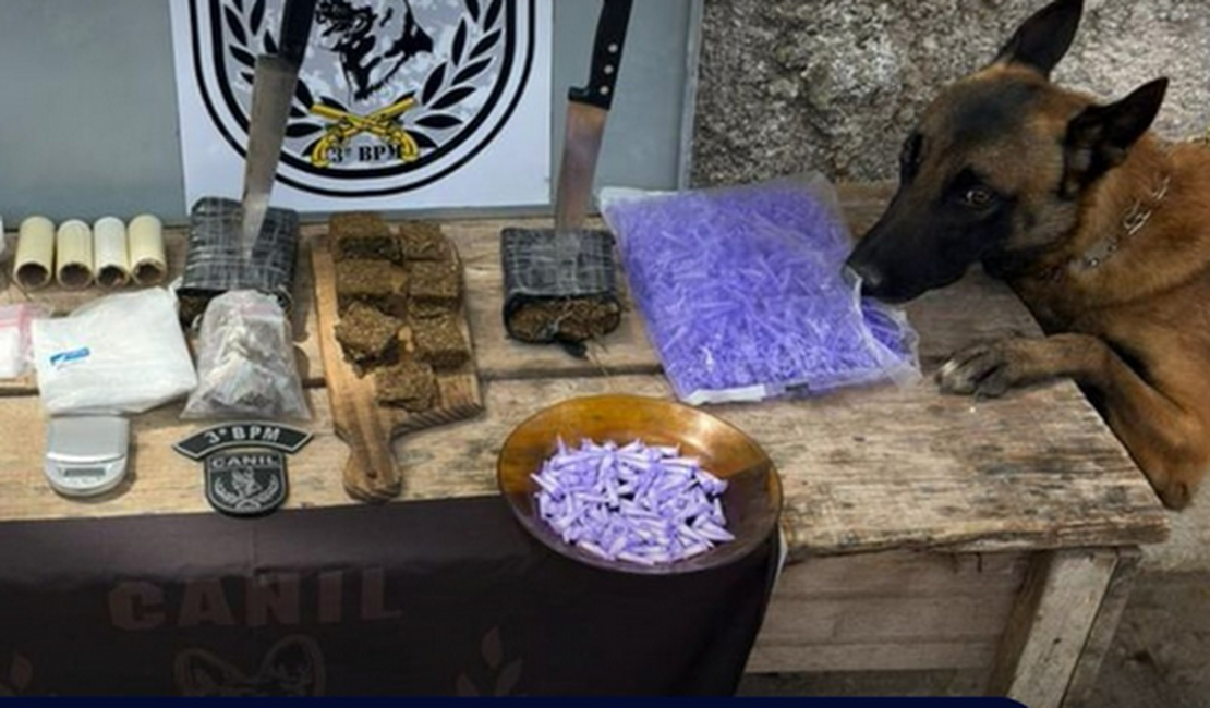 Ação policial apreende 850 gramas de maconha e quase 200 pinos de cocaína em matagal, em Arapiraca