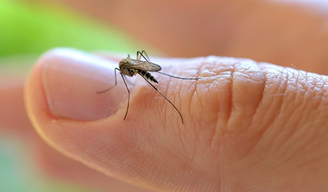 Primeira morte por dengue no ano é confirmada em Alagoas