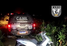 Canil do 3º BPM recupera motocicleta com queixa de roubo escondida em plantação, em Arapiraca