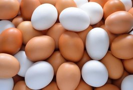 Após acusar esposa de roubar ovos de galinha, homem agride a companheira e faz filha comer lama em Feira Grande