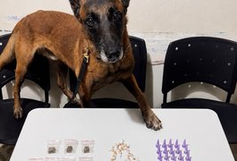 Drogas são encontradas em área de vegetação perto de brejo no Conjunto Frei Damião