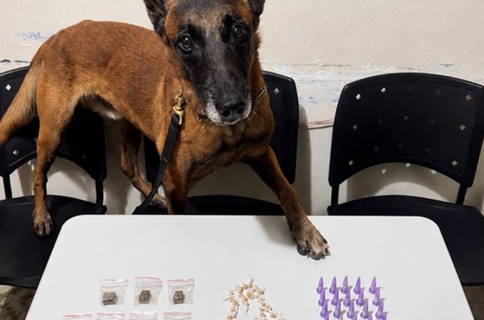 Drogas são encontradas em área de vegetação perto de brejo no Conjunto Frei Damião