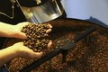 Clima e aumento do consumo devem manter preço do café em alta