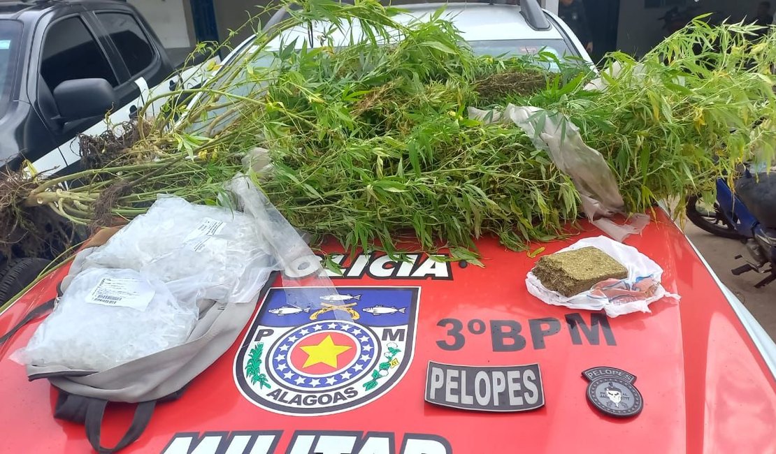 Dupla é presa por tráfico e por plantar maconha em casa, em Arapiraca