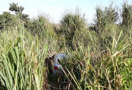 Motorista joga carro em ribanceira para escapar de colisão na BR-101, em São Miguel dos Campos