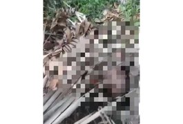 Dois cadáveres são encontrados em covas rasas na cidade de Coruripe