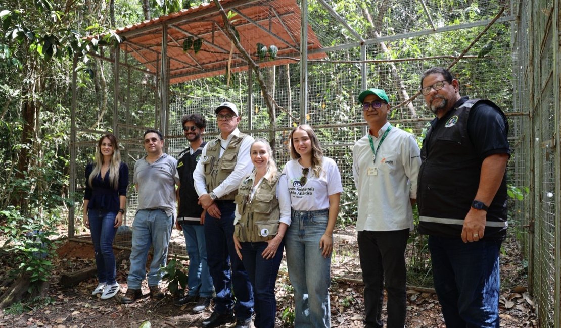 Papagaios-do-mangue e jabutis chegam a Alagoas com missão de contribuir para refaunação e replantio de florestas em área de Mata Atlântica
