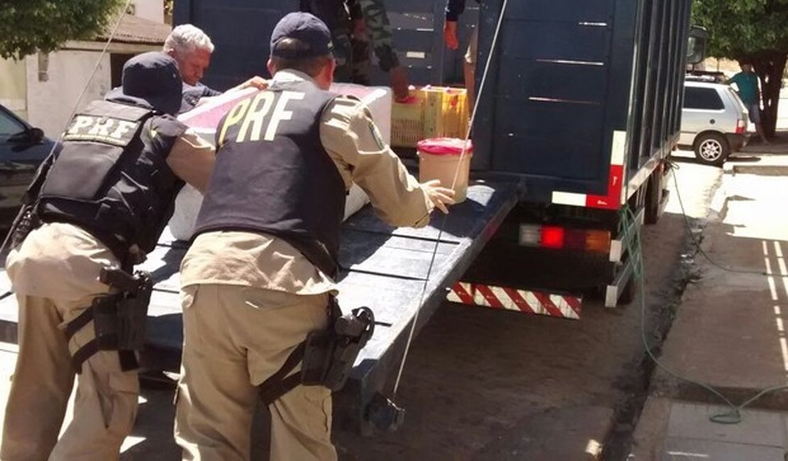 FPI flagra falsificação de selos em fábrica clandestina de laticínios de AL