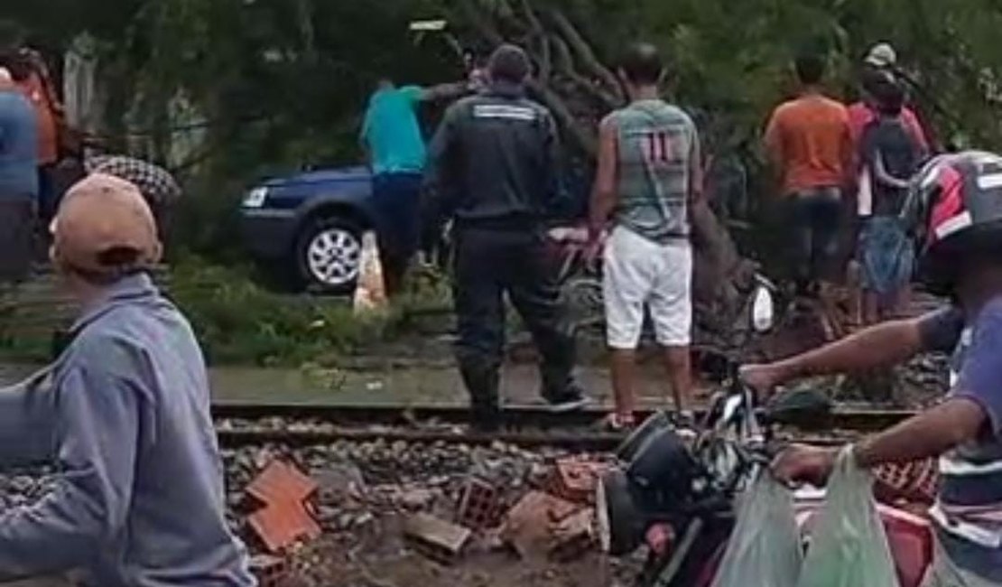 VÍDEO: Árvore cai sobre carro no bairro Primavera, em Arapiraca