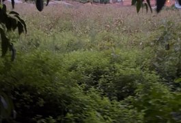 Homem é morto a tiros em terreno baldio na região do Distrito Industrial, em Maceió