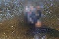 Homem é encontrado morto na Lagoa Mundaú, em Maceió