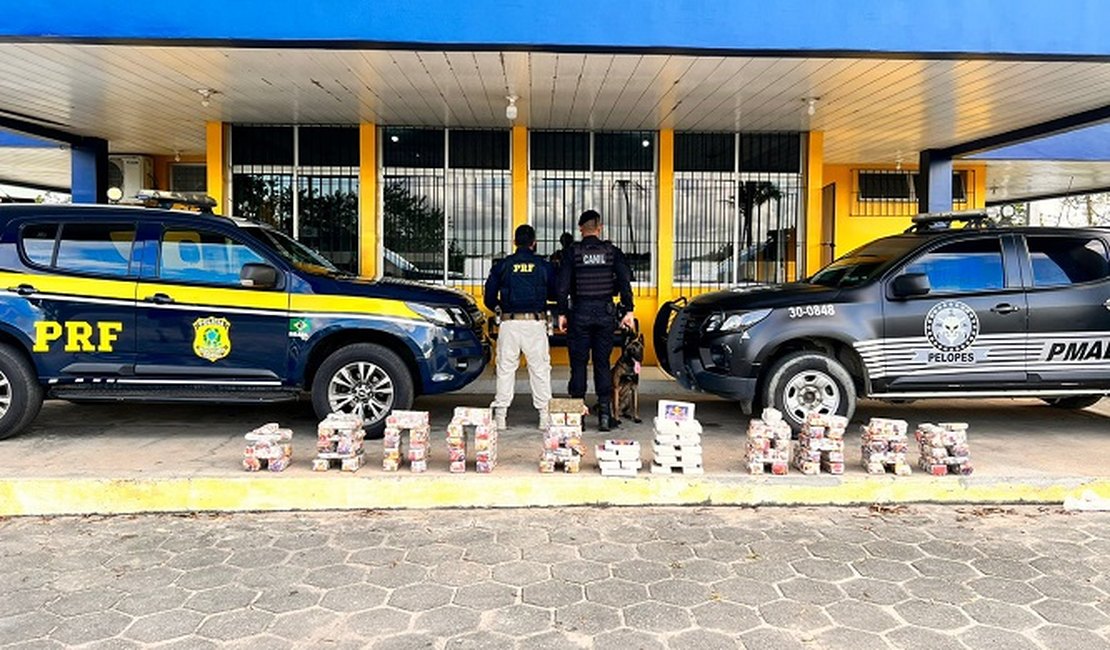 Operação conjunta entre Canil do 3° BPM e PRF apreende 110kg de drogas em veículo de transporte interestadual em São Sebastião