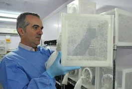 Brasileiro criador do 'Aedes' que bloqueia dengue é eleito pela Nature