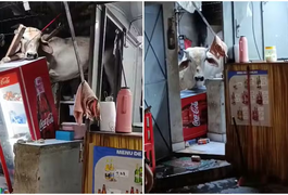 Vaca cai em telhado da cozinha de um bar e causa prejuízos no interior do Ceará