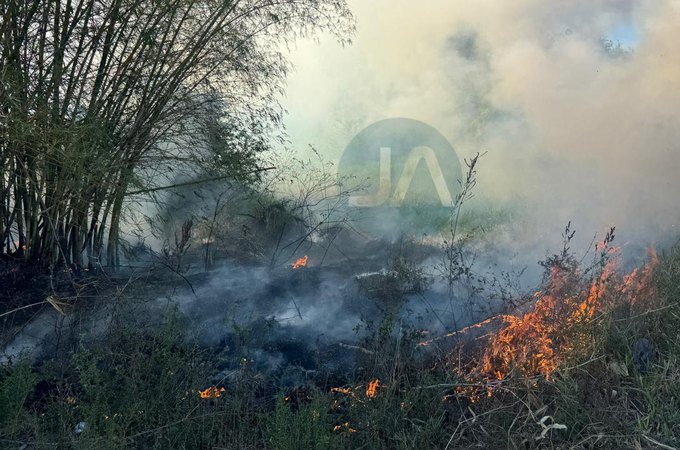 Incêndio atinge vegetação, ao lado do Lago da Perucaba, e mobiliza Bombeiros em Arapiraca