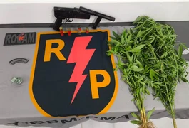 PM encontra plantio de maconha e apreende drogas e munições em dois municípios alagoanos