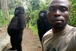 Gorilas posam para selfie ao lado de guardas que os resgataram na África