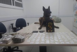 Polícia Militar realiza prisões e apreensões na capital e no interior do estado