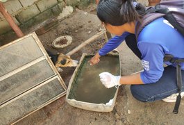 Secretaria de Saúde de Penedo realiza mutirão contra a dengue em conjuntos do bairro Dom Constantino