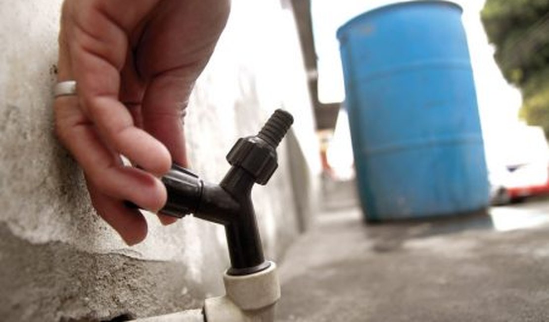 Excesso de algas no Rio São Francisco afeta o abastecimento d'água em 19 cidades de AL