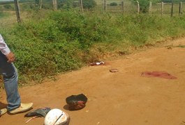 Homem reage a assalto e é morto na zona rural de Arapiraca