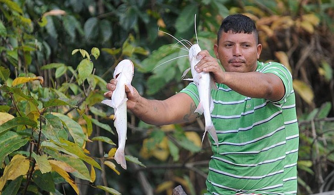 Caixa começa a pagar auxílio emergencial a pescadores afetados com mancha de óleo