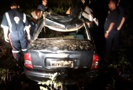 Animal solto na pista provoca acidente com vítima fatal na AL 101