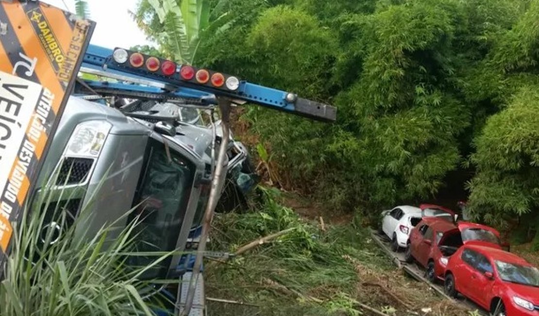 Caminhão-cegonha perde o controle e tomba na BR 101