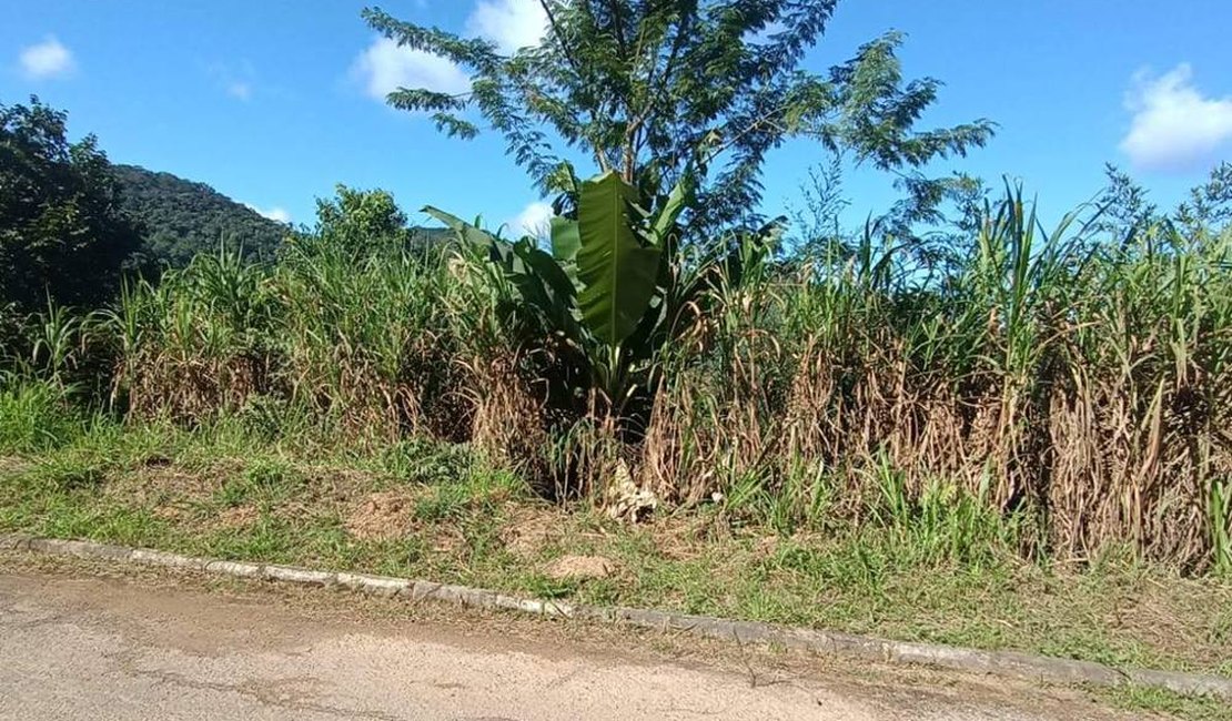 Pai é indiciado por jogar bebê de 1 mês em barranco profundo e deixar criança para morrer