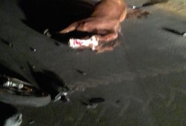 Motociclista morre após colidir contra cavalo na AL-110, em Arapiraca