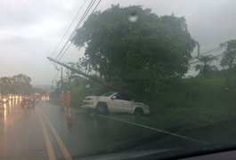 Motorista de Maribondo perde controle da direção e colide carro do prefeito em poste na BR 316