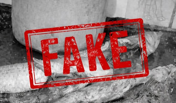 FAKE NEWS É CRIME: Prefeitura de Junqueiro denuncia uso criminoso de imagens falsas para atacar distribuição de peixe