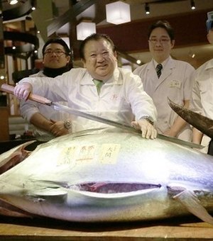 Peixe mais caro do mundo custa R$ 400 o kilo, mas só restaurantes têm acesso