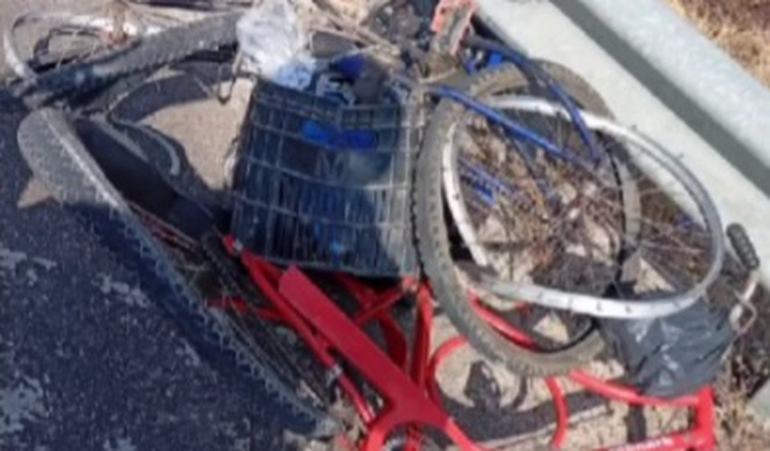 Idoso morre após ter bicicleta atingida por caminhão, na BR 316, em Santana do Ipanema