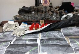 PF apreende armas e munições usadas por suspeitos de crime de mando em Batalha