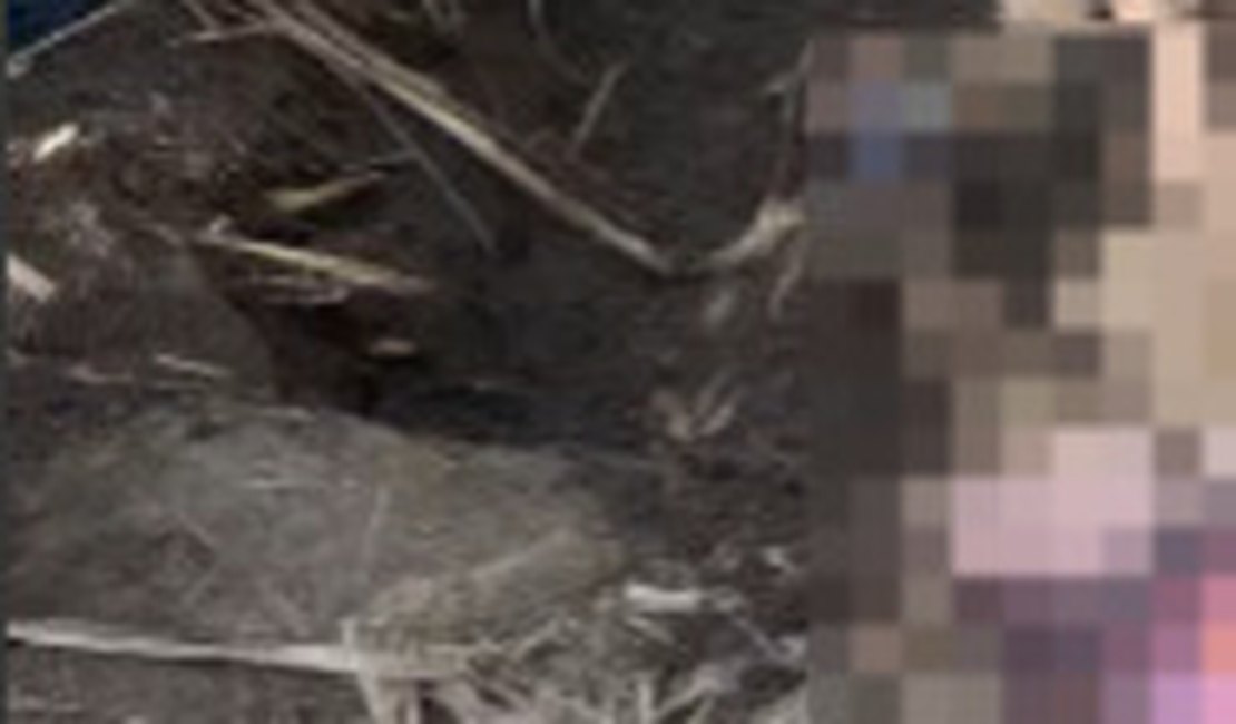 Cadáver enterrado em meio a canavial é encontrado em Penedo