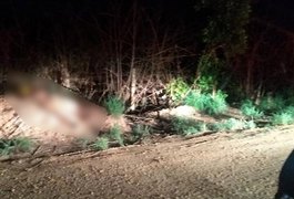 Homem é encontrado morto e com o pênis decepado em estrada vicinal no Piauí; vítima foi baleada e esfaqueada