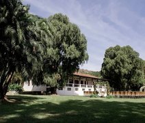 SP confirma mais duas mortes por febre maculosa e número de óbitos pela doença vai a seis no estado