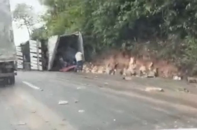 Caminhão carregado com peças de queijo tomba na BR-101, em Flexeiras; carga é furtada