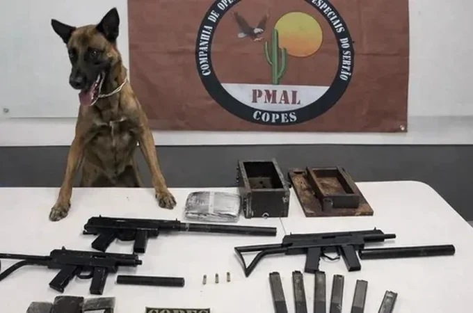 Copes apreende armas de grosso calibre e quase 2 kg de drogas em ônibus na BR-316, no Sertão de Alagoas