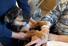 Homem que teve AVC volta a conversar depois de ver seu cachorro